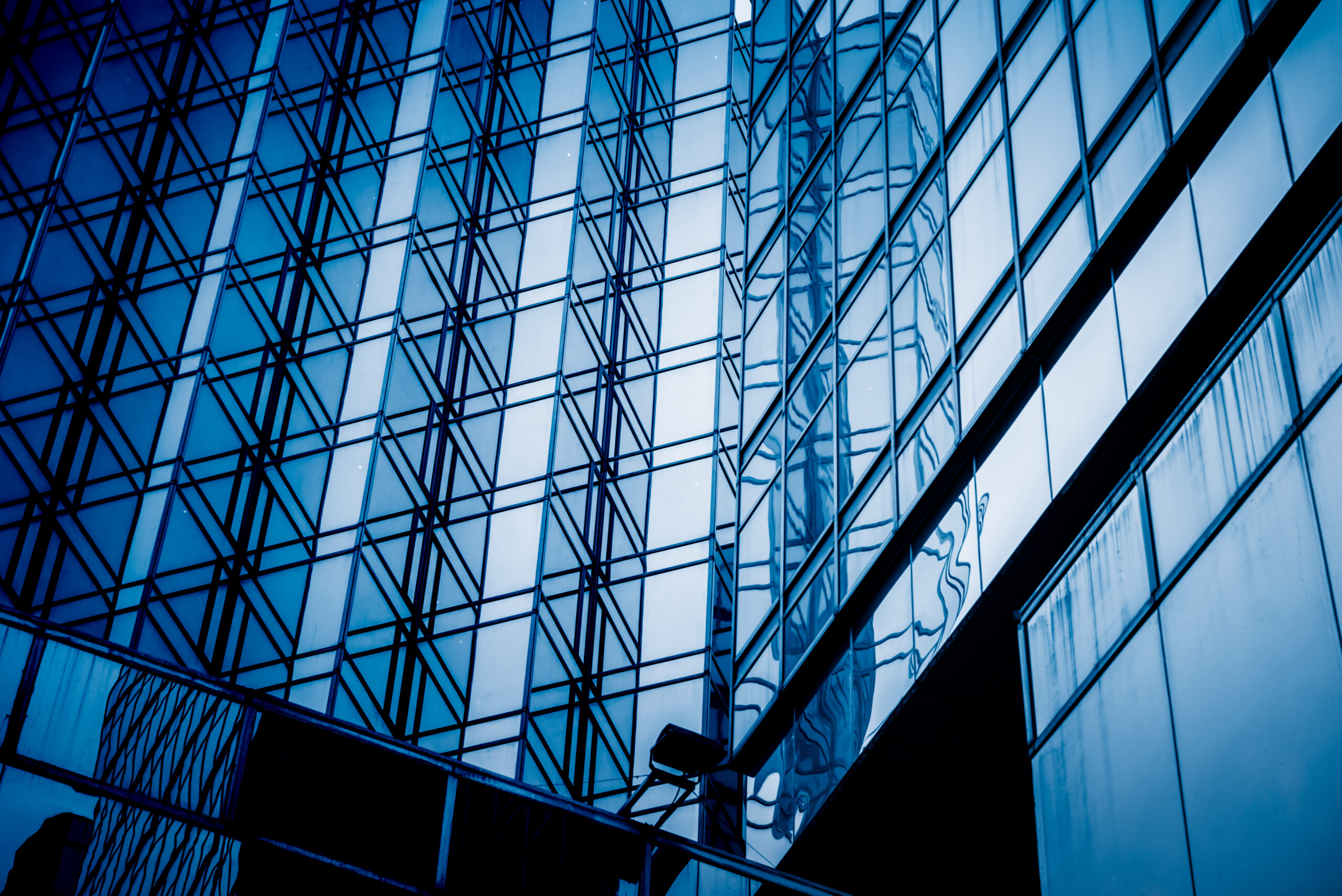 business license and permit